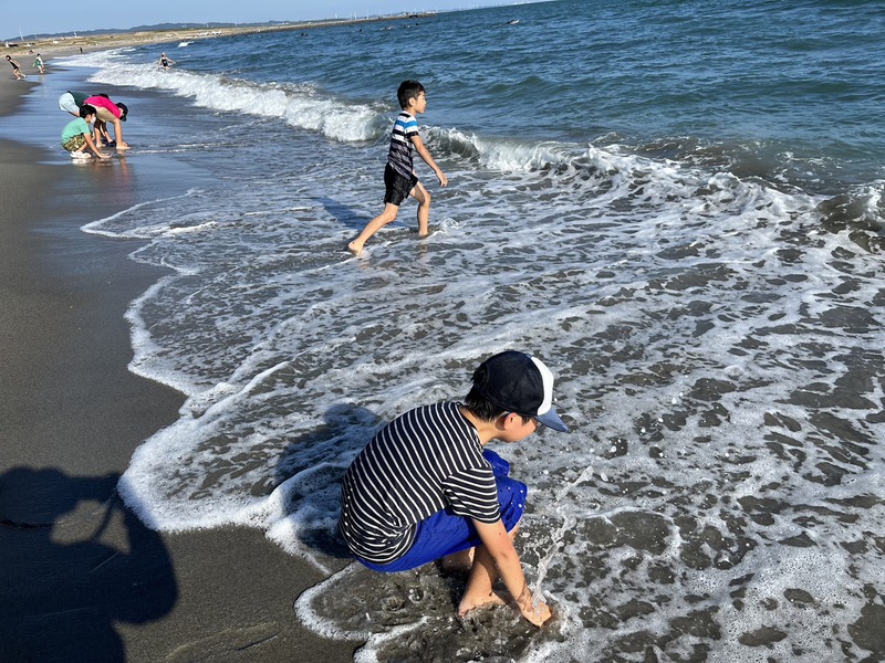 第3回目よのなか塾【渚の交流館で魚と海の不思議】:理科