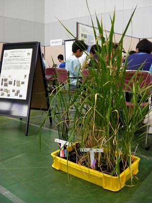 中学生のための「いわたサイエンスフェア」