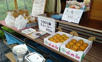 25日㈰も販売します 2019/08/24 19:46:57