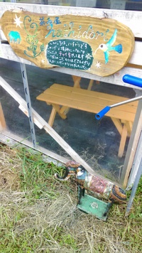 次回は、11日(金) 2017/08/05 10:16:45