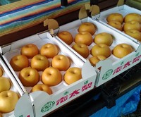 初売りは30日木曜日8時半〜 2020/07/27 20:07:46