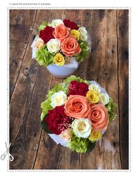preserved flower 2019/06/19 14:36:30