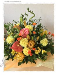 11月19日の記事 2019/11/19 08:36:46