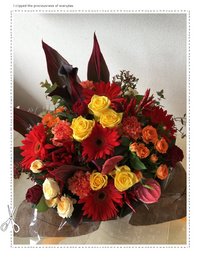 11月21日の記事 2019/11/21 08:22:47