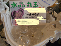 鑑定について♪