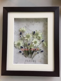 ドリームフラワー作品 2017/04/13 21:45:53