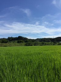 梅雨明け 2016/07/18 23:06:57