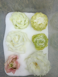 乾燥中。 2016/03/18 17:19:09