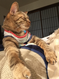 ひなたぼっこ