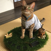 クルクル回るよ〜！ 2018/09/13 21:56:05