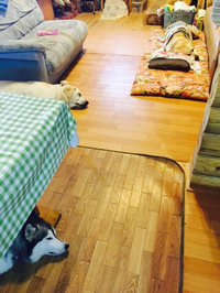 介護が始まりました 2015/08/26 16:45:05