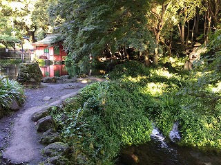 お水の力