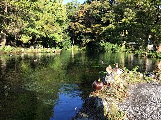 お水の力