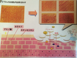 あなたのお肌はどんな肌？？