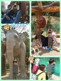 久々の動物園♪♪ 2018/04/06 11:10:24
