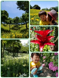 気分は遠出♪♪ 2018/06/06 10:23:53