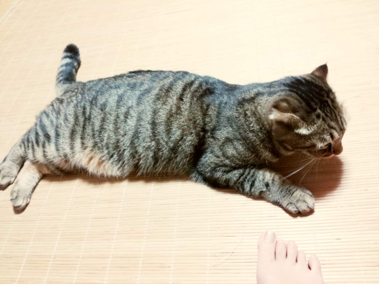 敬老の日に（*^_^*）