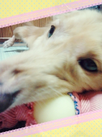 ☆夢中☆ 2014/07/05 14:34:47