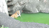 いってきました(^O^) 2013/09/11 13:54:47