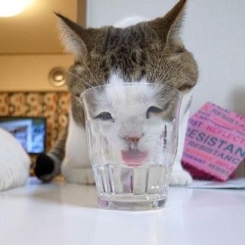 美容コラム～笑～