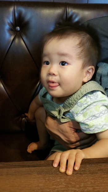 最近の食欲