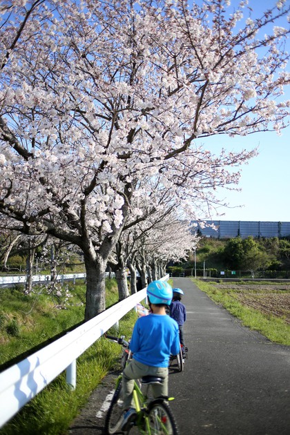 ＊お花見＊