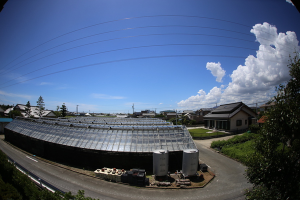 38℃