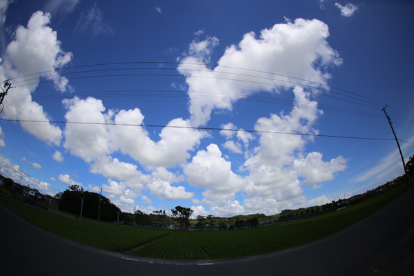 38℃