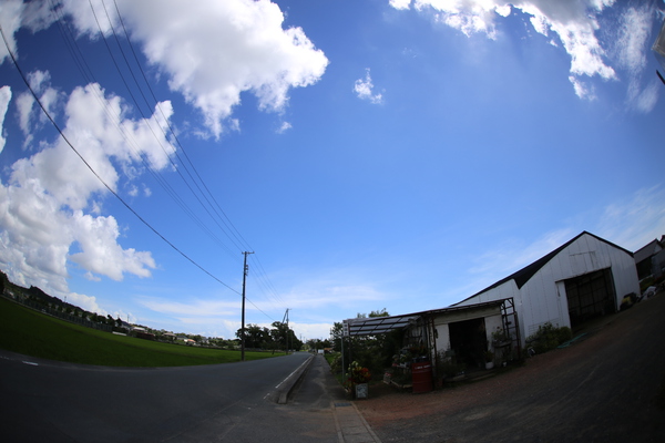38℃