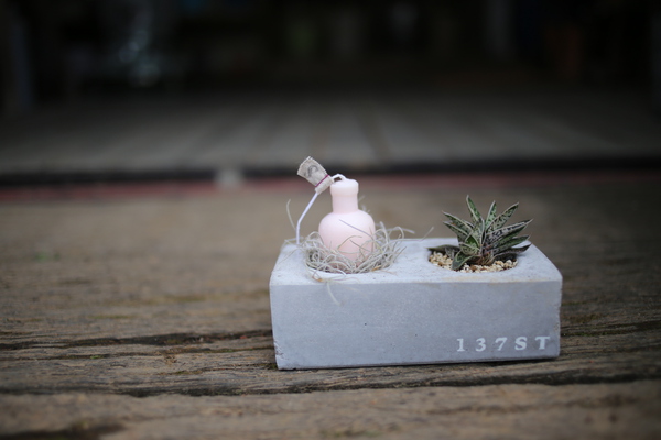 植物遊び