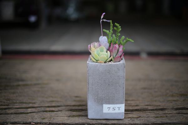 植物遊び