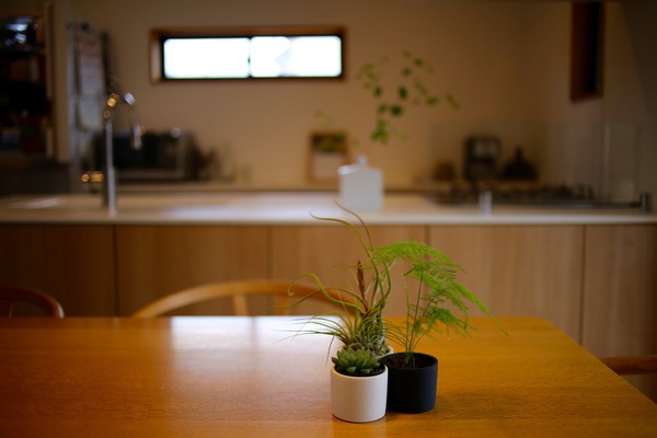 植物のある暮らし