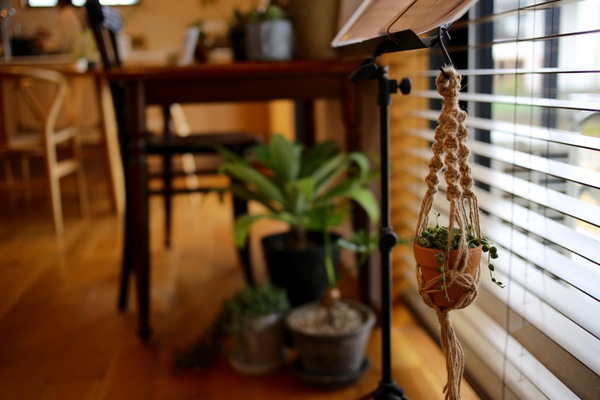 植物のある暮らし