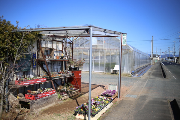 花の直売所