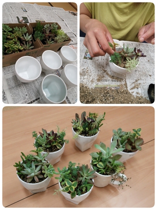 寄せ植えー♪