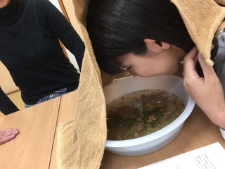 ハーブで癒されました