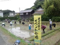 花の香楽会酒米田植え 2013/06/09 11:53:44