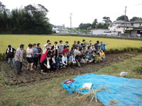 花の香楽会稲刈り会 2012/10/08 10:34:33
