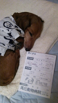 病院へ行って来ました！！ 2013/08/27 01:04:43