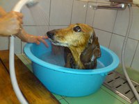 ～お知らせ～ 2013/06/14 13:04:19