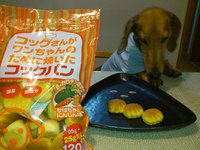 ねらってます！！ 2013/05/06 23:00:46