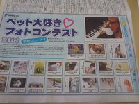 静岡新聞夕刊 2013/06/13 16:22:34