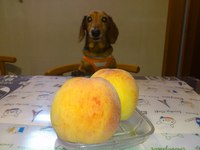 だいちゅき☆ 2013/06/19 21:57:31