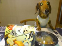 ☆お知らせ☆ 2013/08/12 01:06:39