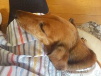 ☆お知らせ☆ 2013/08/18 14:59:45