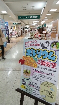 あと3日間！ 2017/05/05 08:48:57