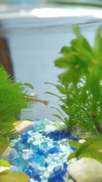 頭隠してしり。。。 2017/03/14 12:16:58