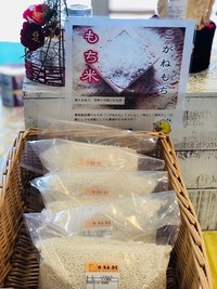 宮城県産　こがねもち 2019/12/26 10:15:35