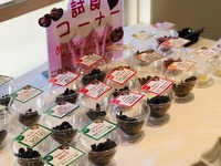 チョコレート食べ比べ♪ 2020/02/04 10:30:07
