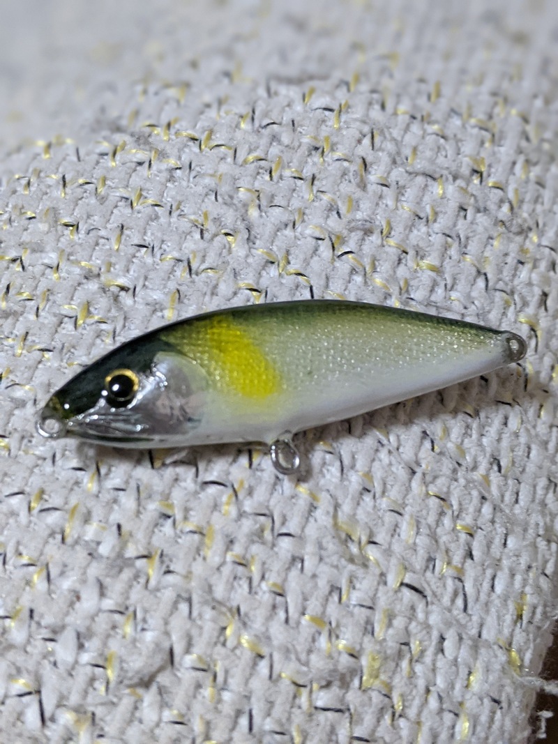 鮎カラー　